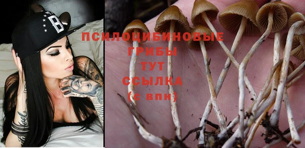 гидропоника Алзамай