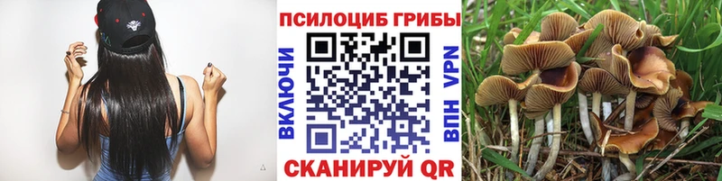 Псилоцибиновые грибы мухоморы  Железногорск 